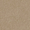 Spaces Signature Sandstone Broadloom Carpet - DCTUK