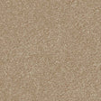Spaces Signature Sandstone Broadloom Carpet - DCTUK