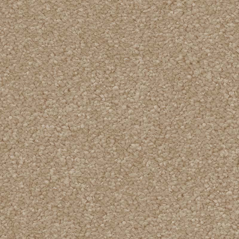 Spaces Signature Sandstone Broadloom Carpet - DCTUK