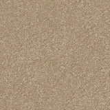 Spaces Signature Sandstone Broadloom Carpet - DCTUK