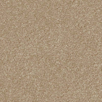 Spaces Signature Sandstone Broadloom Carpet