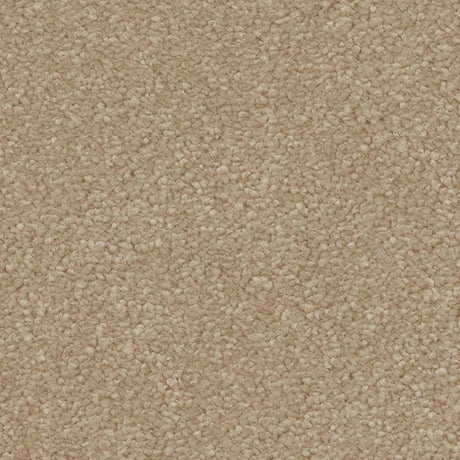 Spaces Signature Sandstone Broadloom Carpet - DCTUK