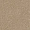 Spaces Signature Sandstone Broadloom Carpet - DCTUK
