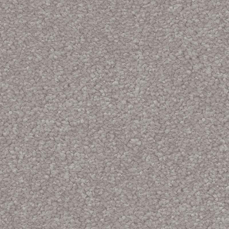 Spaces Signature Silver Lining Broadloom Carpet - DCTUK
