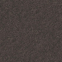 Spaces Signature Storm Broadloom Carpet
