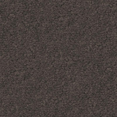 Spaces Signature Storm Broadloom Carpet - DCTUK