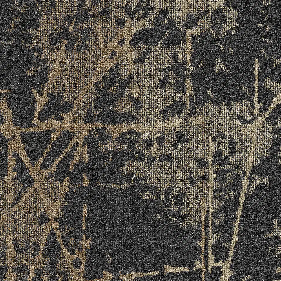 surface story umber