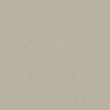 Tarkett Acczent Platinium 100 Ground Beige 206027303 Sheet Vinyl - DCTUK