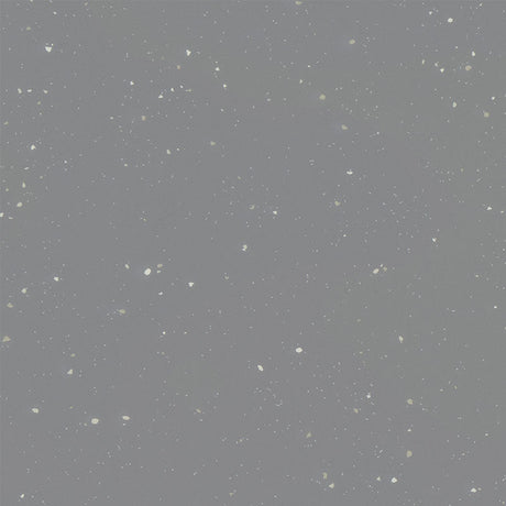 Tarkett Acczent Platinium 100 Ground Grey 206027308 Sheet Vinyl - DCTUK