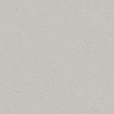 Tarkett Acczent Platinium 100 Ground Light Grey 206027300 Sheet Vinyl - DCTUK