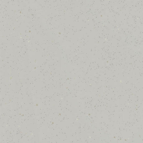 Tarkett Acczent Platinium 100 Ground Light Grey 206027300 Sheet Vinyl - DCTUK