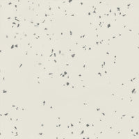 Tarkett Acczent Platinium 100 Ice 2 Black & White 206027313 Sheet Vinyl