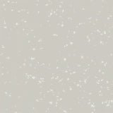 Tarkett Acczent Platinium 100 Ice Light Grey 206027320 Sheet Vinyl - DCTUK