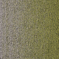 Desso Fuse Create Carpet Planks Fuse B755 2014 Carpet Planks