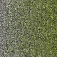 Desso Fuse Create Carpet Planks Fuse B755 7073 Carpet Planks