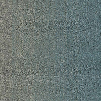 Desso Fuse Create Carpet Planks Fuse B755 8836 Carpet Planks
