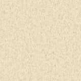 Tarkett iQ Granit Sand 0298 Sheet Vinyl - DCTUK