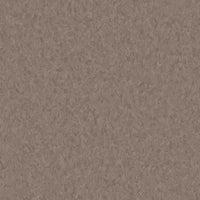 Tarkett iQ Granit Soft Brown 0755 Sheet Vinyl