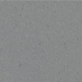 Tarkett iQ Natural Cold Grey 0071 Sheet Vinyl - DCTUK
