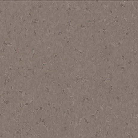 Tarkett iQ Natural Dark Cold Beige 0842 Sheet Vinyl - DCTUK