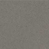 Tarkett iQ Natural Dark Warm Grey 0385 Sheet Vinyl - DCTUK