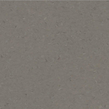 Tarkett iQ Natural Dark Warm Grey 0385 Sheet Vinyl - DCTUK