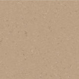 Tarkett iQ Natural Warm Beige 0489 Sheet Vinyl - DCTUK