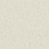 Tarkett iQ Natural White 0491 Sheet Vinyl - DCTUK