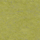 Tarkett Linosport XF2 Absinthe 14849 695 Linoleum - DCTUK