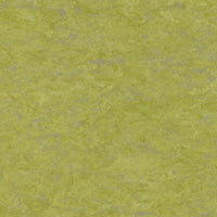 Tarkett Linosport XF2 Absinthe 14849 695 Linoleum