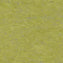 Tarkett Linosport XF2 Absinthe 14849 695 Linoleum - DCTUK