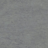 Tarkett Linosport XF2 Aluminium 14849 672 Linoleum - DCTUK