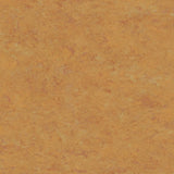 Tarkett Linosport XF2 Amber 14849 636 Linoleum - DCTUK
