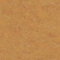 Tarkett Linosport XF2 Amber 14849 636 Linoleum