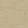Tarkett Linosport XF2 Sisal 14849 611 Linoleum - DCTUK
