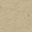 Tarkett Linosport XF2 Sisal 14849 611 Linoleum - DCTUK