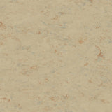Tarkett Linosport XF2 Sisal 14849 611 Linoleum - DCTUK
