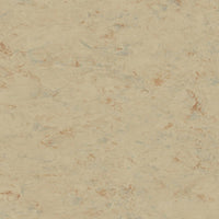 Tarkett Linosport XF2 Sisal 14849 611 Linoleum