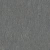 Tarkett Linosport XF2 Steel 14849 673 Linoleum - DCTUK