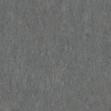Tarkett Linosport XF2 Steel 14849 673 Linoleum - DCTUK