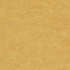 Tarkett Linosport XF2 Sunflower 14849 628 Linoleum - DCTUK
