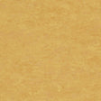Tarkett Linosport XF2 Sunflower 14849 628 Linoleum - DCTUK