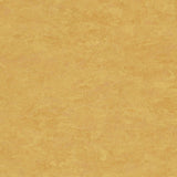 Tarkett Linosport XF2 Sunflower 14849 628 Linoleum - DCTUK