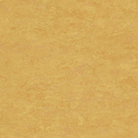 Tarkett Linosport XF2 Sunflower 14849 628 Linoleum