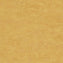 Tarkett Linosport XF2 Sunflower 14849 628 Linoleum - DCTUK