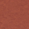 Tarkett Linosport XF2 Terracotta 14849 641 Linoleum - DCTUK