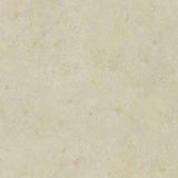 Tarkett Ruby 70 Agrego Grege Gold 25098098 Sheet Vinyl - DCTUK