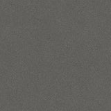Tarkett Ruby 70 Nature Black 25145046 Sheet Vinyl - DCTUK