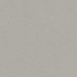 Tarkett Ruby 70 Nature Cold Grey 25145043 Sheet Vinyl - DCTUK
