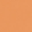 Tarkett Ruby 70 Uno Passion 25145102 Sheet Vinyl - DCTUK